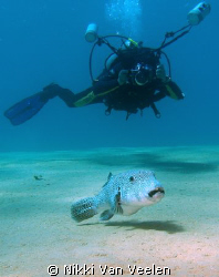 My friend Otta Hally getting his shot...taken at Marsa Ba... by Nikki Van Veelen 